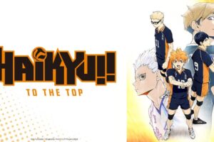 Haikyu!! Season 1 Hindi Dubbed Episodes Download HD