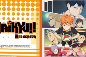 Haikyu!! Season 2 Hindi Dubbed Episodes Download HD